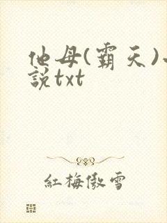 他母(霸天)小说txt