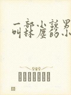 一部小说男主角叫林尘的小说