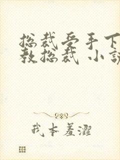 总裁受手下攻调教总裁 小说封面