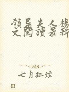 领导夫人杨姨全文阅读最新章节