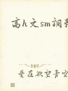 高h文sm调教
