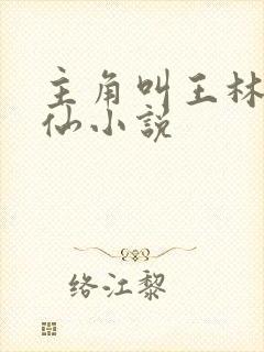 主角叫王林的修仙小说