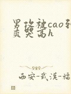 男攻被cao到爽哭高h