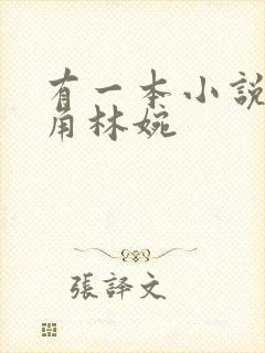 有一本小说女主角林婉