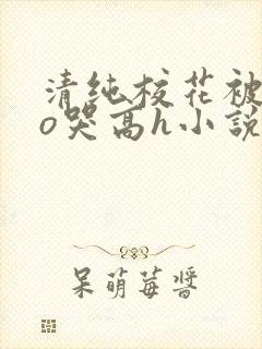 清纯校花被cao哭高h小说