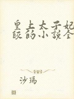 皇上太子妃沈皎皎的小说全文免费阅读