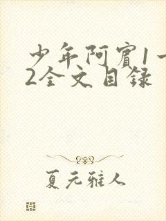 少年阿宾1一72全文目录