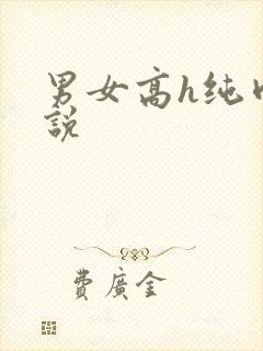 男女高h纯肉小说