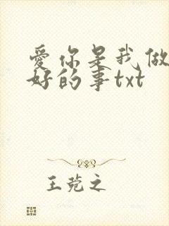 爱你是我做过最好的事txt