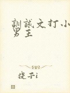 训诫文打小花双男主