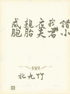 成亲夜我错认双胞胎夫君小说免费阅读