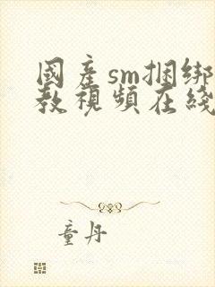 国产sm捆绑调教视频在线观看