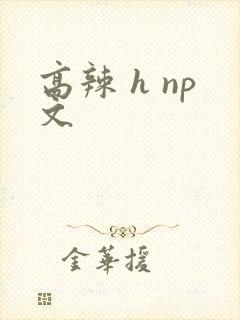 高辣 h np文