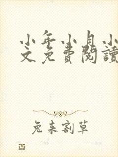 小年小月小说全文免费阅读无弹窗封面