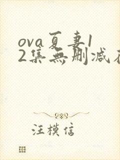 ova夏妻1 2集无删减在线观看