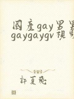 国产gay男男gaygaygv视频