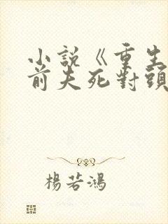 小说《重生嫁给前夫死对头》