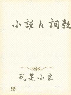 小说 h 调教封面