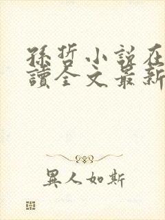 孙哲小说在线阅读全文最新