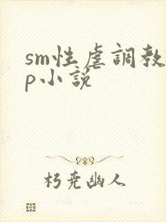 sm性虐调教np小说