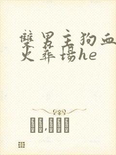 双男主狗血追妻火葬场he