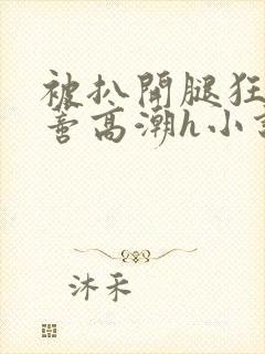 被扒开腿狂揉花蒂高潮h小说