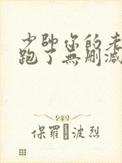 少帅你的老婆又跑了无删减版