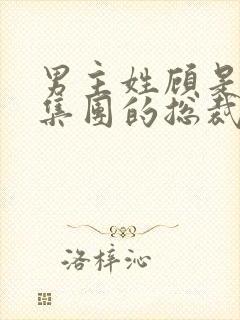 男主姓顾是顾氏集团的总裁