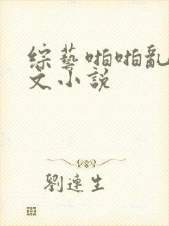 综艺啪啪乱淫h文小说