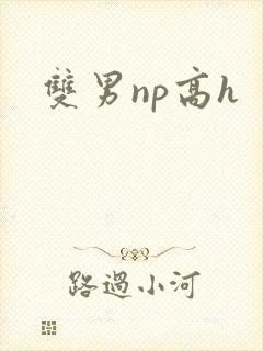 双男np高h