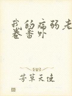 我的病弱老婆花卷番外