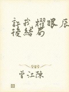 许我耀眼辰辰最后结局