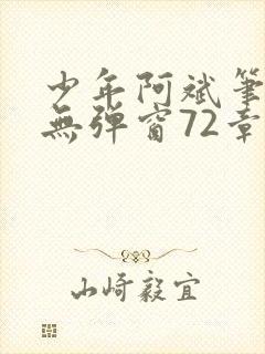 少年阿斌笔趣阁无弹窗72章