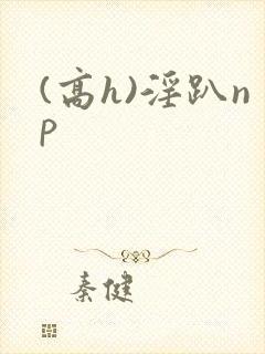 (高h)淫趴np