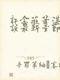 许念薇萧湛明小说最新章节免费阅读