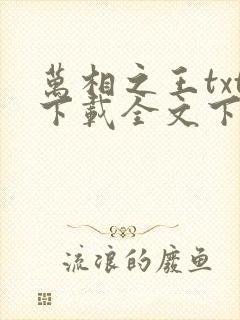 万相之王txt下载全文下载