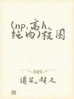 (np,高h,纯肉)校园封面