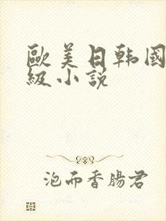 欧美日韩国产三级小说