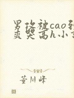 男攻被cao到爽哭高h小说封面