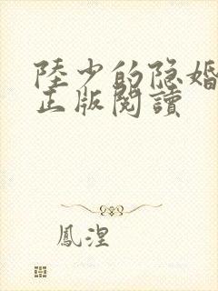 陆少的隐婚罪妻正版阅读