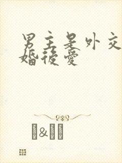 男主是外交官先婚后爱