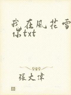 我在风花雪月等你txt封面