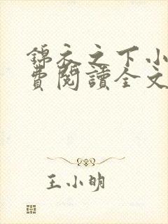 锦衣之下小说免费阅读全文无删减封面