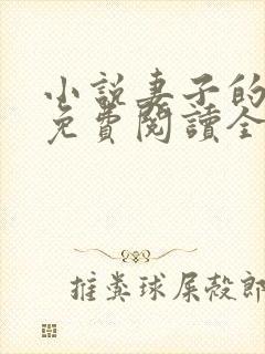 小说妻子的秘密免费阅读全文