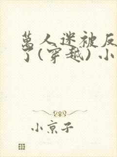 万人迷被反套路了(穿越) 小说