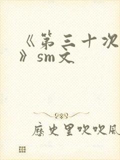 《第三十次调教》sm文封面