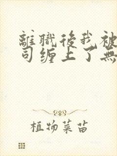 离职后我被前上司缠上了无弹窗阅读