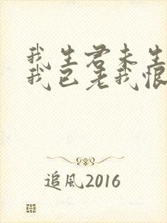 我生君未生君生我已老我恨君生迟君恨我生早封面