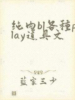 纯肉bl各种play道具文