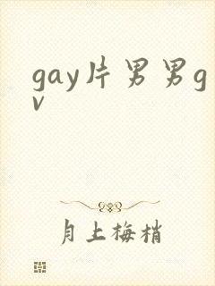 gay片男男gv